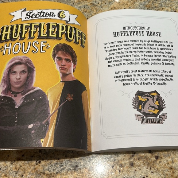 Harry Potter Hand Lettering How To book - Picture 5 of 5